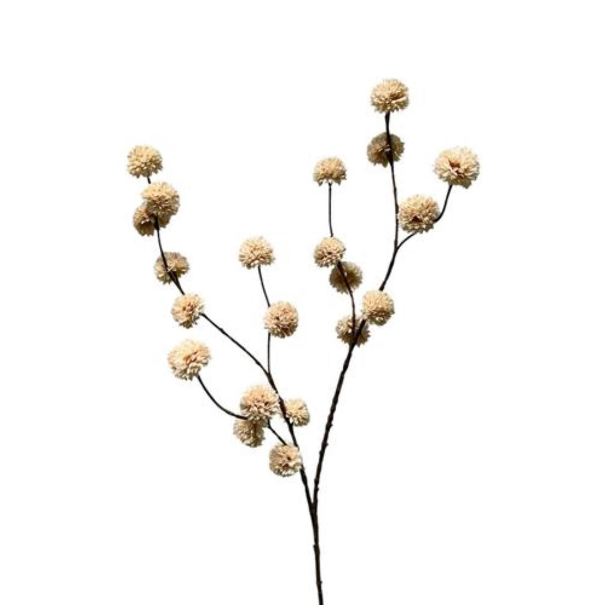 Roberts Collection kënschtlech Branche Pompon Crème 100cm