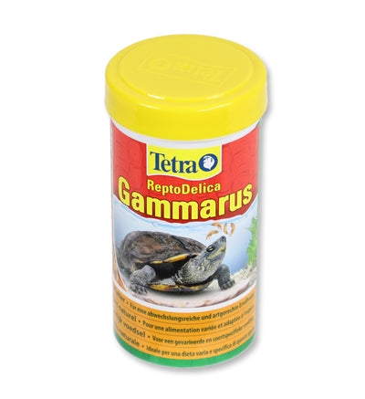 Tetra gammarus turtle food