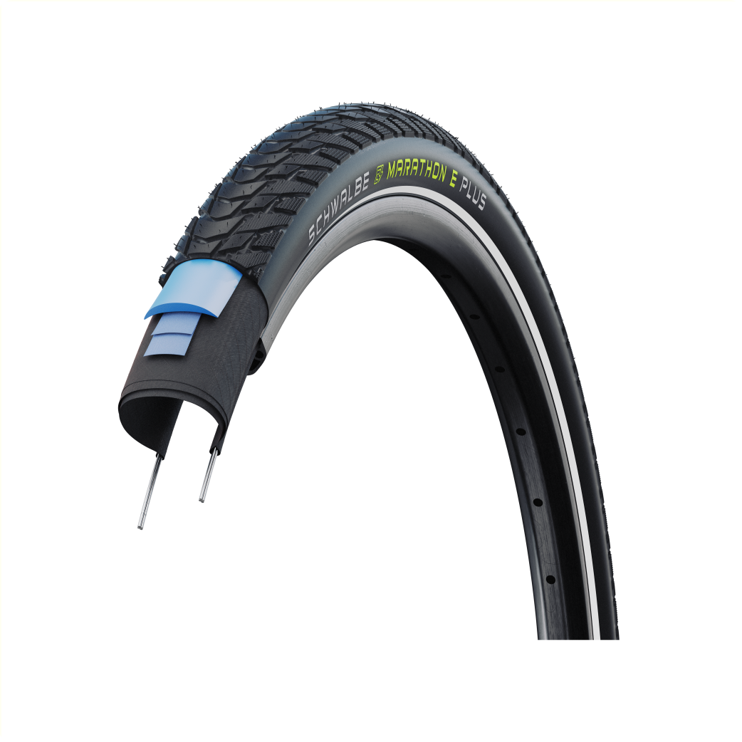 Schwalbe'a