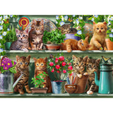 Ravensburger puzzle animals kittens in the rack - 500 pieces.