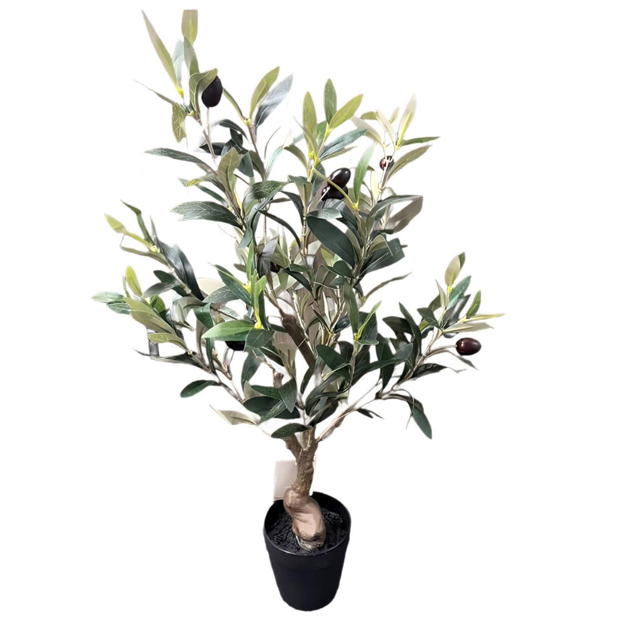 Decorative olive tree 60cm in pot