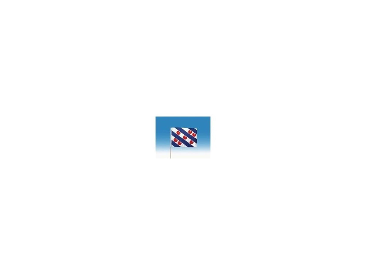 Zwaaivlag fryslan groot 50x70cm + stok