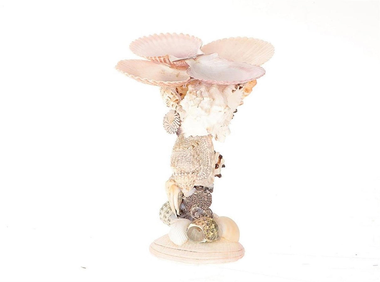Hbx natural living candlestick shell gallery h16cm