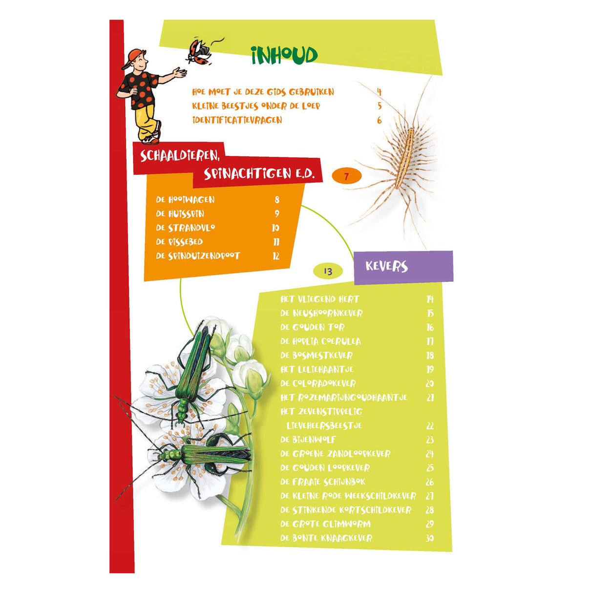 Deltas The Best Insect Guide for Kids