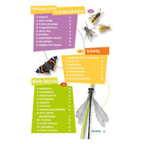 Deltas The Best Insect Guide for Kids