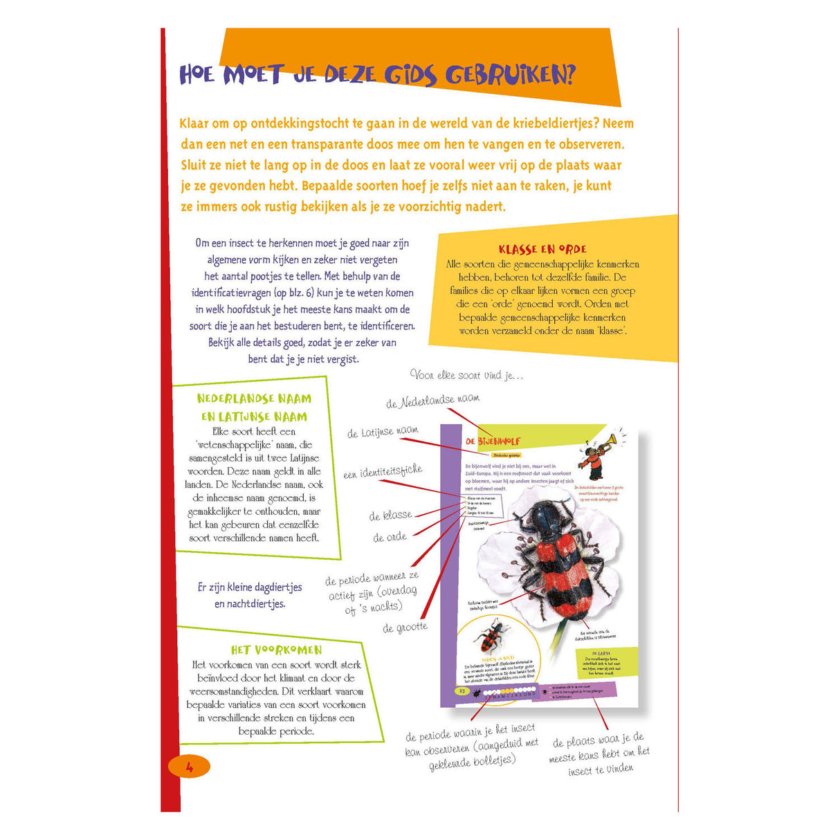 Deltas The Best Insect Guide for Kids