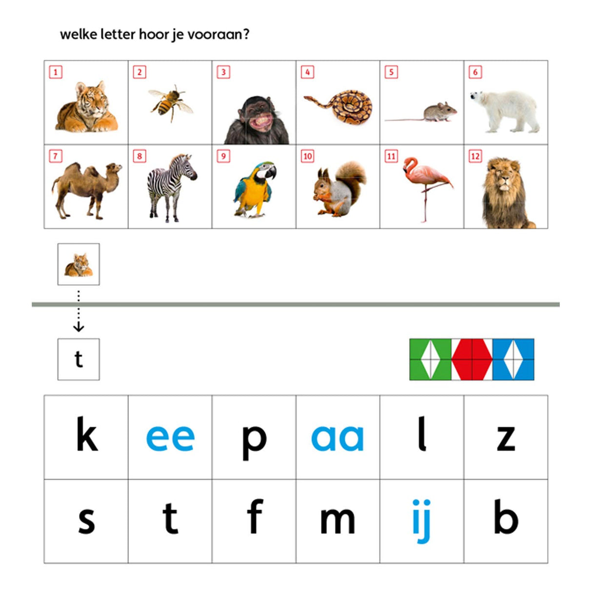 WPG publishers mini loco starter package (4-6 years)