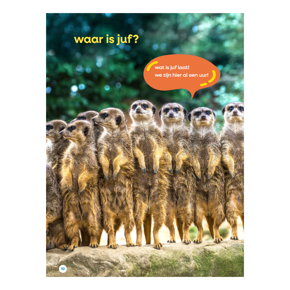 Buchen Sie mein großes Lehrerbuch