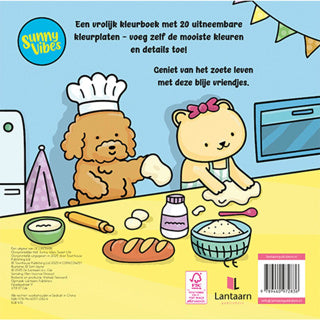 Lantern publishers coloring book sunny vibes - sweet life