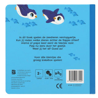 Book in the sea | 2 pcs