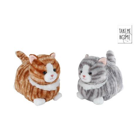 Leve-me para casa gato deitado de pelúcia 25cm