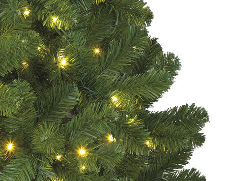 Everlands Chrëschtbeemchen Imperial Pinien150cm + LED beliicht