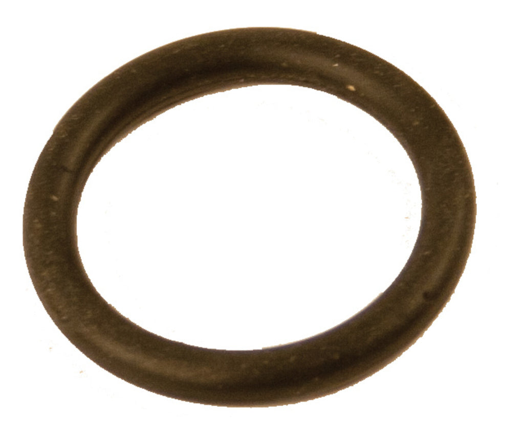 Aqua2go o Ring Kontrollventil