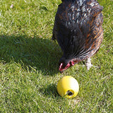Savic poulet jouet poulet amusant