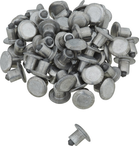 Schwalbe spikes spikes aluminum 50pcs.