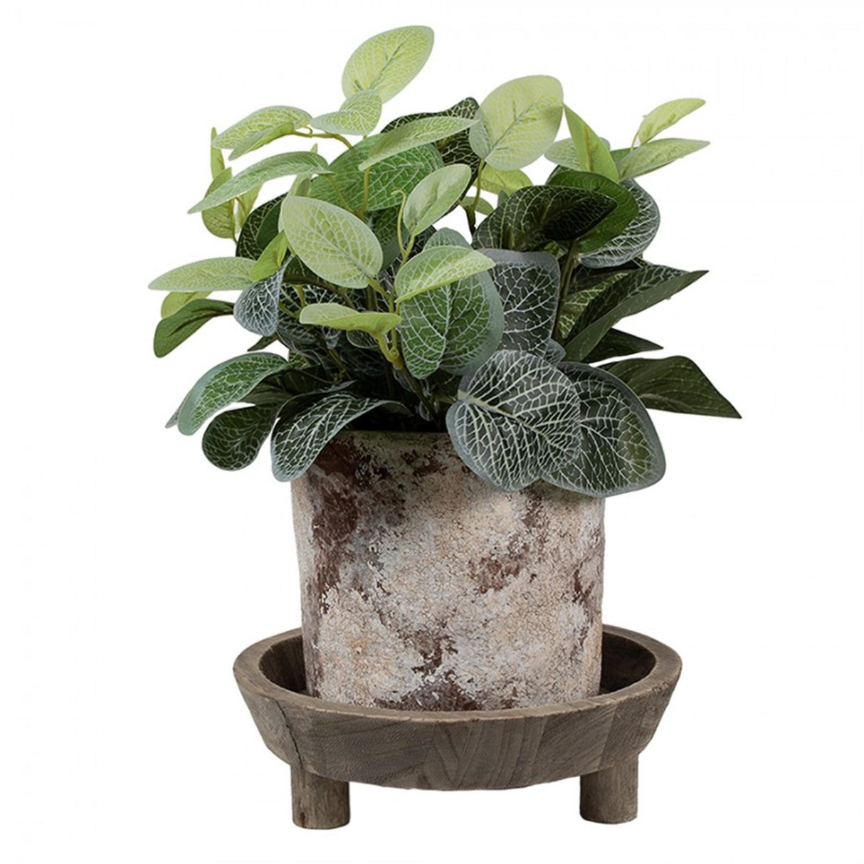 Clayre eef decoration bowl ø22x7cm