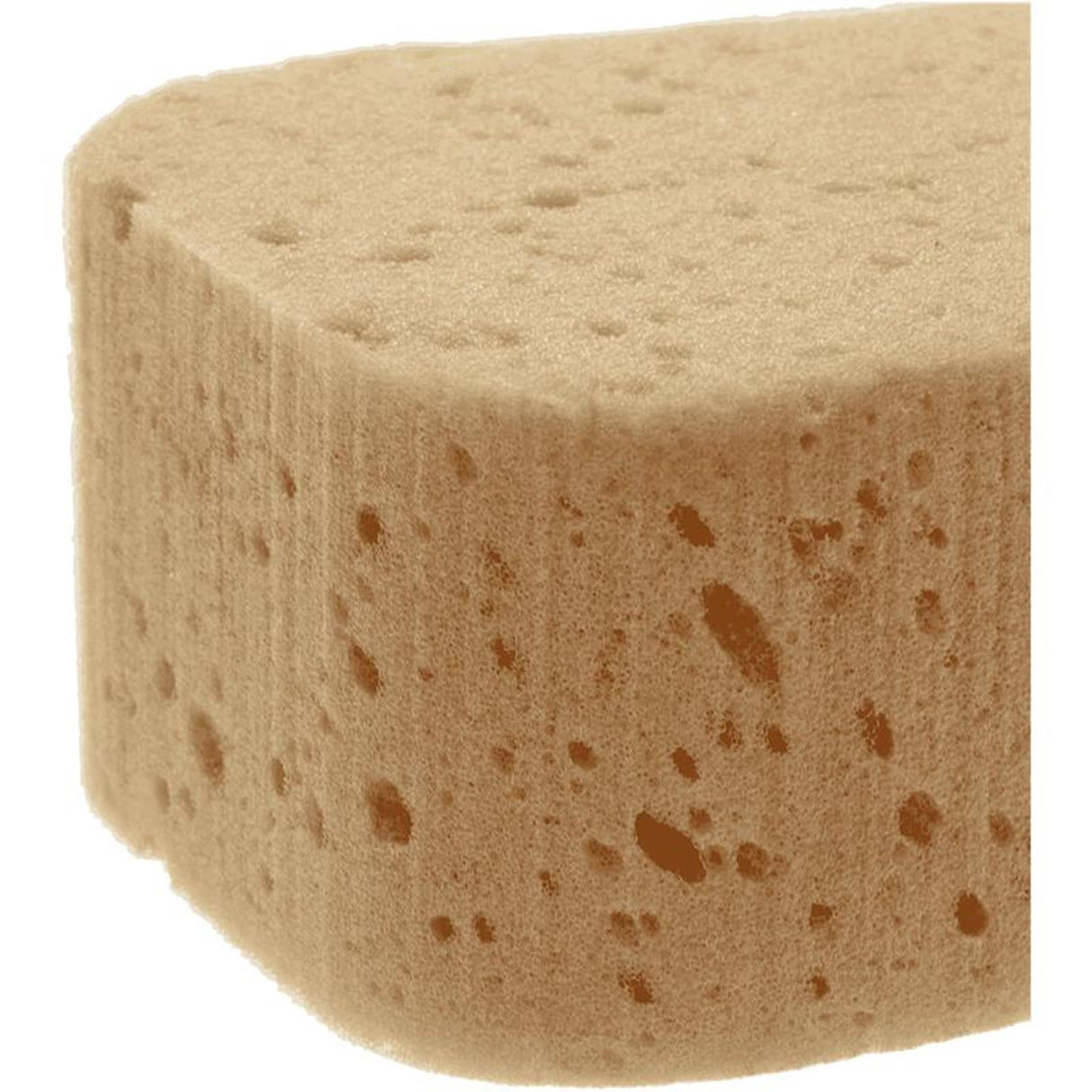 Vero car handyman sponge 18.5cm