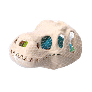 Komplet dino na plažo No Brand | 3 kosi