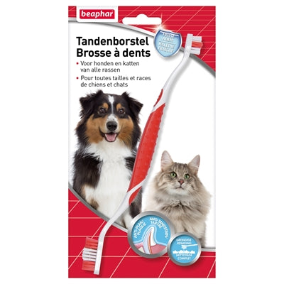 Brosse à dents beaphar