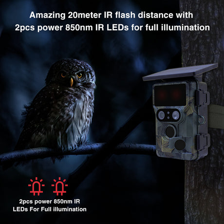 Fotocamera per la fauna selvatica WiFi 4K solare con doppia camma per nightjar Stealth Gear