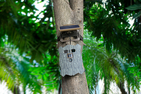 Stealth gear owl solar 4k wifi wildlife kamera