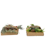 Decoris tealight holder with pine green