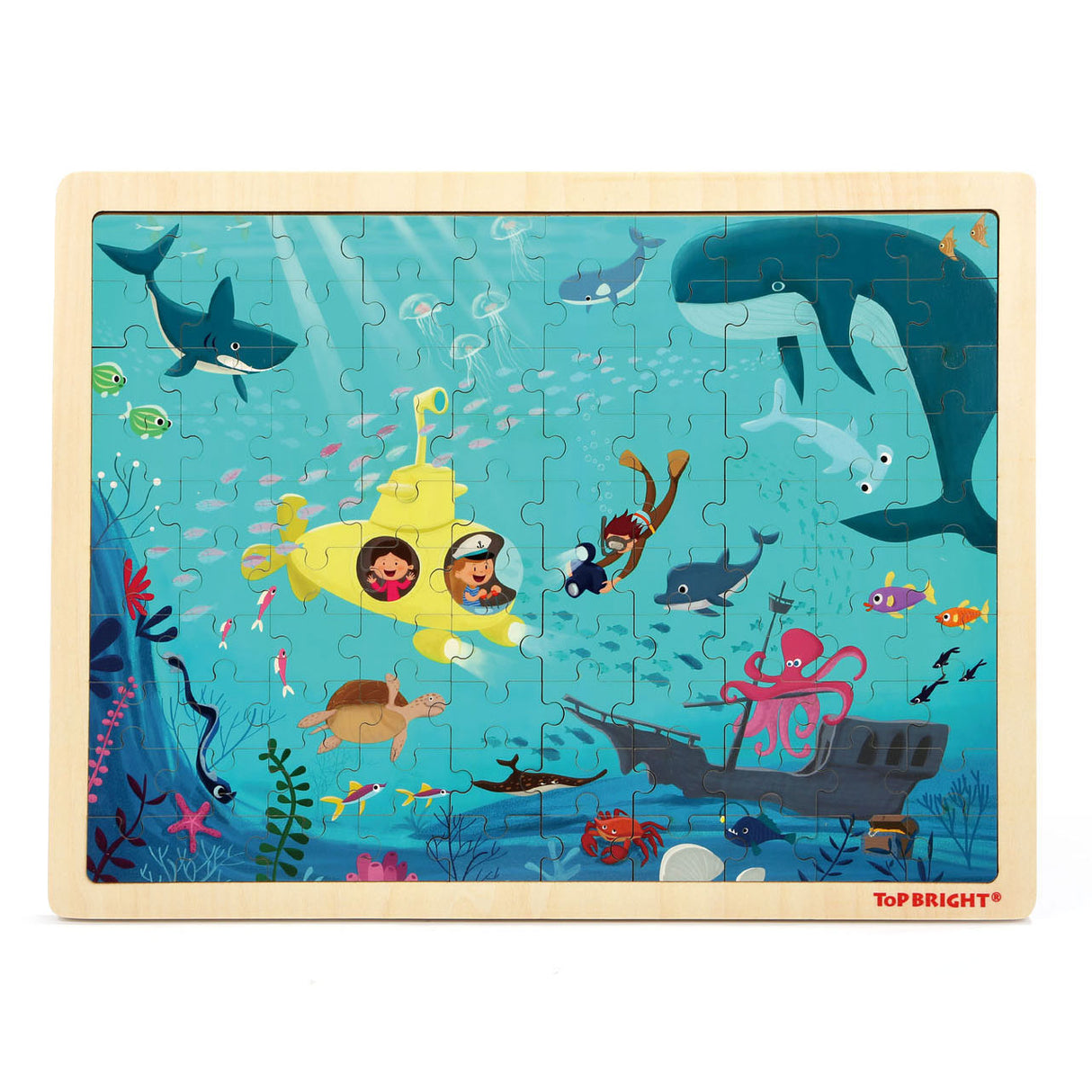 Topbright Wooden puzzle puzzle World Underwater, 100 °.