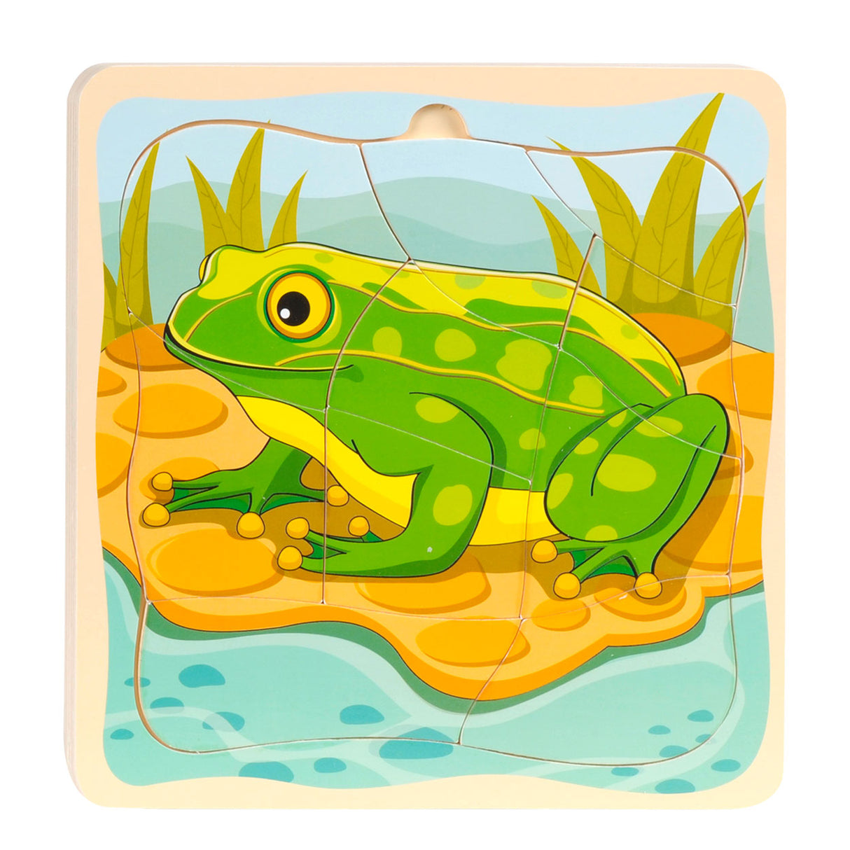 Topbright Laiding Puzzle Cycle Frog