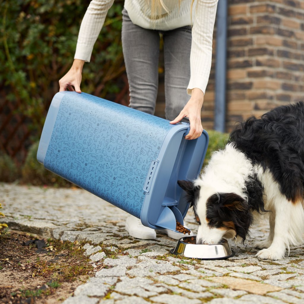 Rotho Rotho Cody Pet Food Container 50L Blue