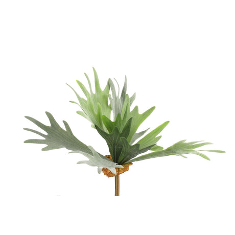 Countryfield kënschtlech Planz Platycerium gréng 10xh63.5cm