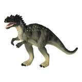 Dinosaurs Gift Box
