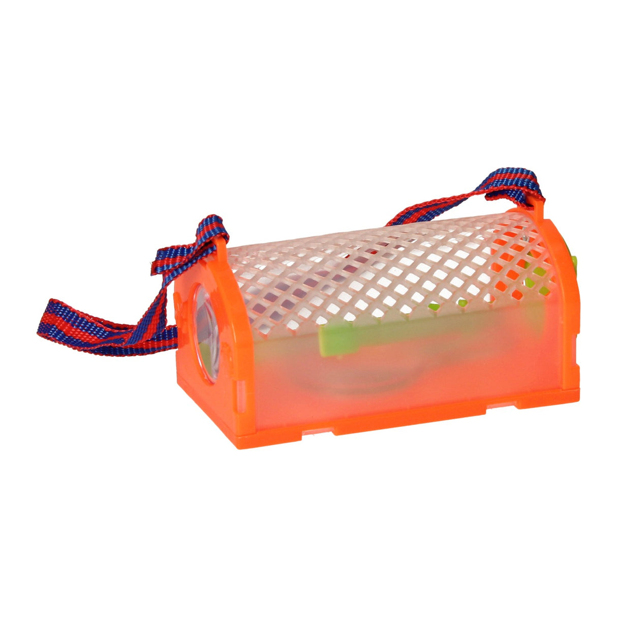Bugs world insect catching set