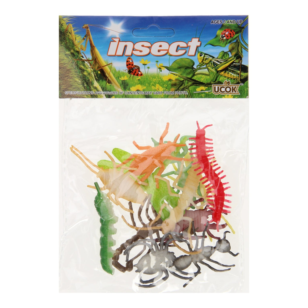 Insectos, 12º.