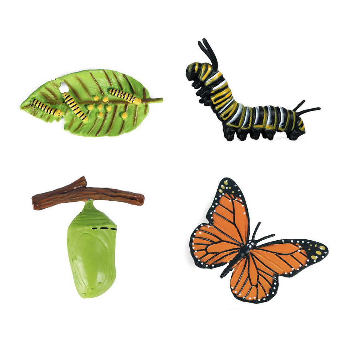 Cycplus Life Cycle Butterfly Play Figuras Figuras