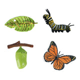 Cycplus Life Cycle Butterfly Play Figuras Figuras