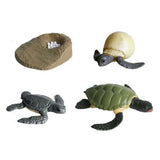 Cycplus Life Cycle Turtle Play Figur Set Set