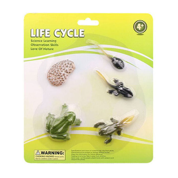 Cycplus Life Cycle Frog Play Figing Set