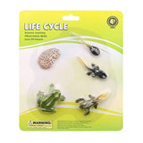 Cycplus Life Cycle Frog Play Figuras Figuras