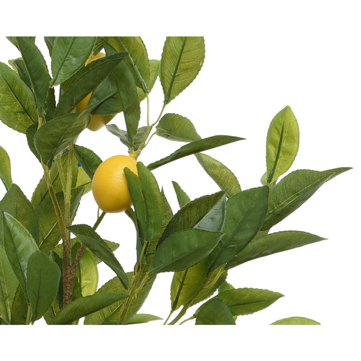 Decoris artificial plant lemon 35x25x92cm