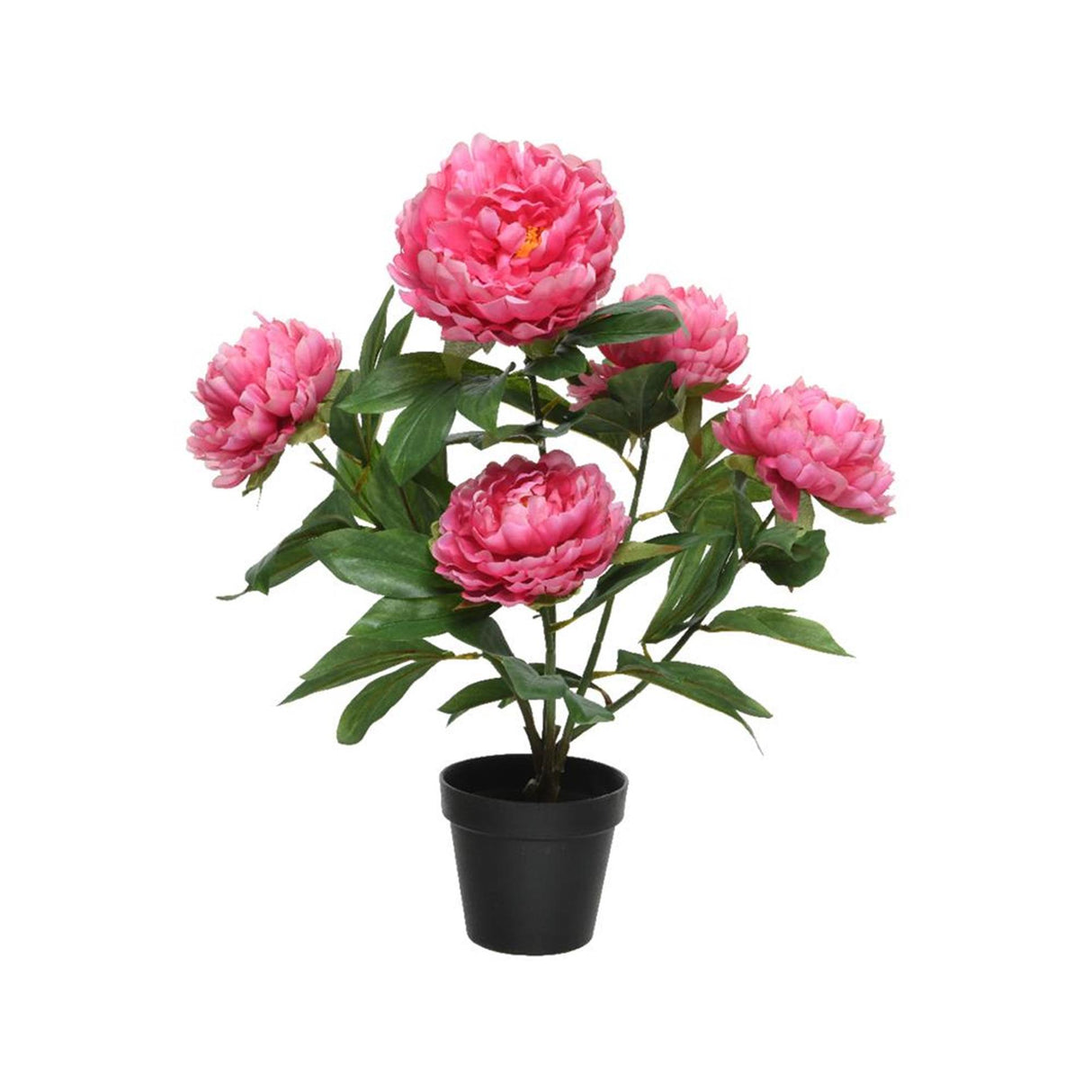 Decoris kënschtlech Planz Peony h57cm fuchsia