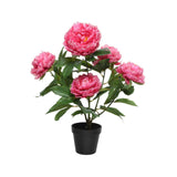 Decoris kënschtlech Planz Peony h57cm fuchsia