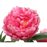 Decoris kënschtlech Planz Peony h57cm fuchsia