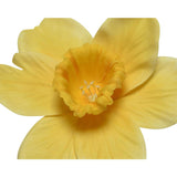 Decoris artificial flower daffodil h39cm yellow white 2 ass