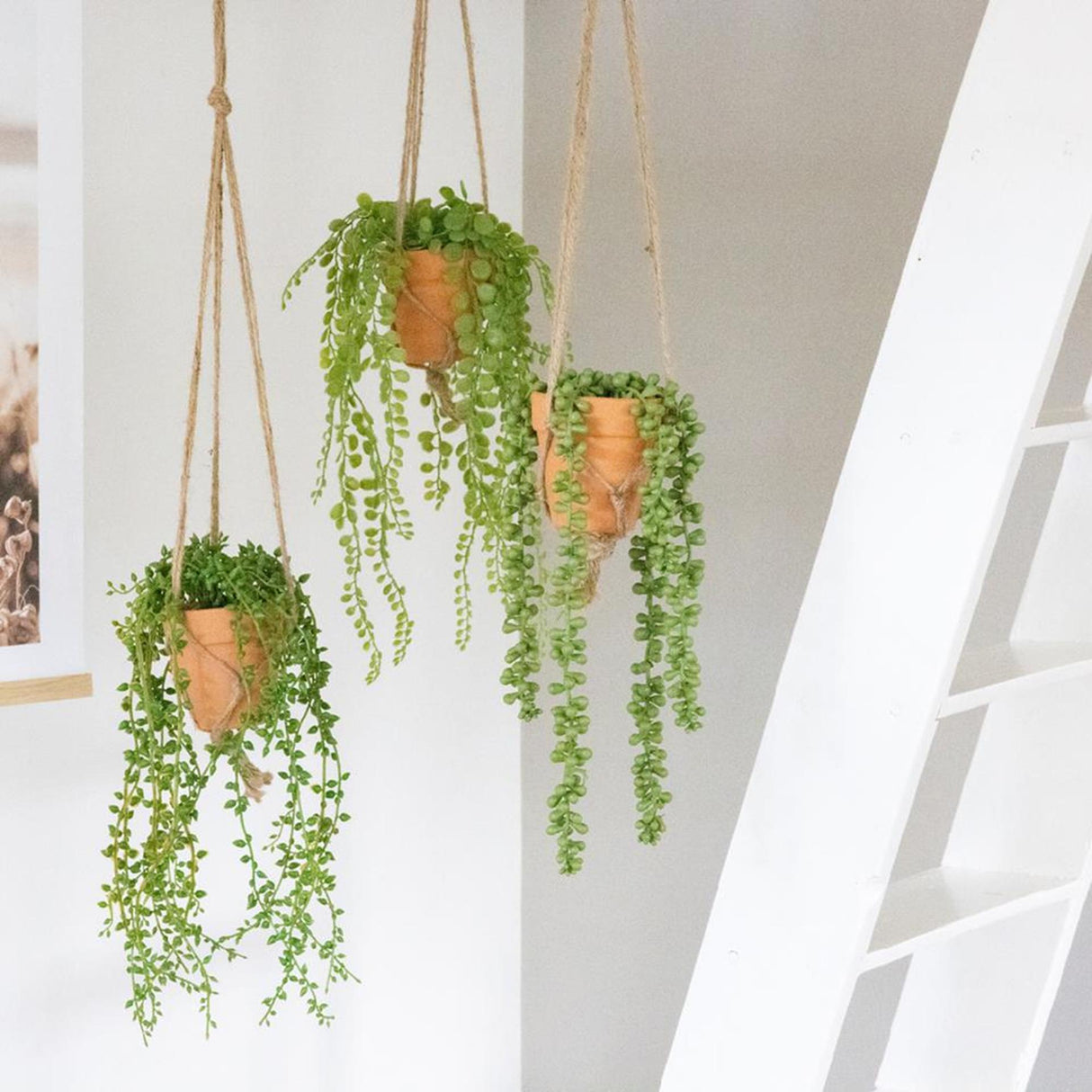 Decoris artificial hanging plant in pot h40cm 3 assorted
