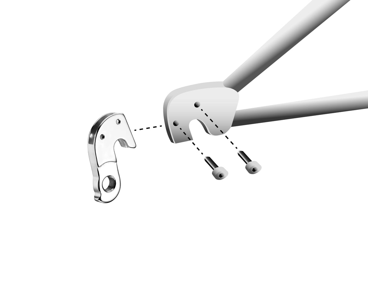 Marwi Derailleurpad GH-151 met schroefset M3x1.0