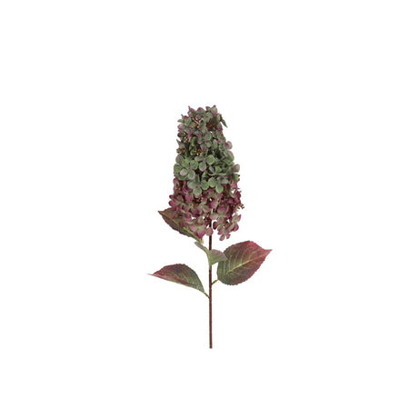 Countryfield kunstbloem aletta paniculata hydrangea groen 14x23x83cm