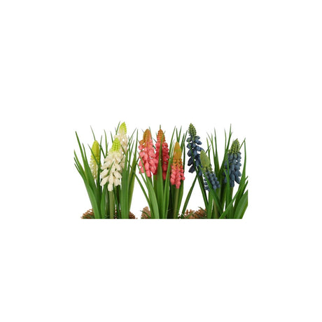 Vidéki művirág cserépben muscari h20cm