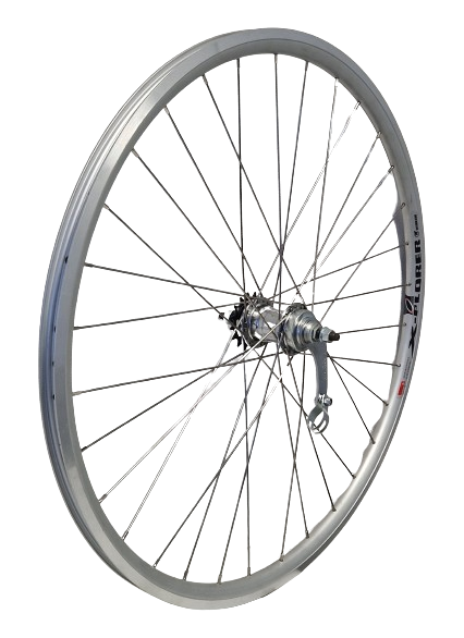 Rueda trasera KGS 28 pulgadas (622) Alu Rim Silver Velamos Remnaaf