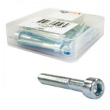 Bofix Allenbout M6 x 40 Stainless steel (12 pieces)