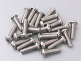 Allenbout Bolkop M6 x 20 mm en acier inoxydable 25 pièces (214291)